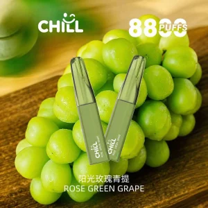 Chill 鴨嘴獸｜8800口｜550mAh｜12W 輸出｜10款口味 玫瑰青提