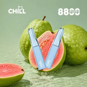 Chill 鴨嘴獸｜8800口｜550mAh｜12W 輸出｜10款口味 芭樂